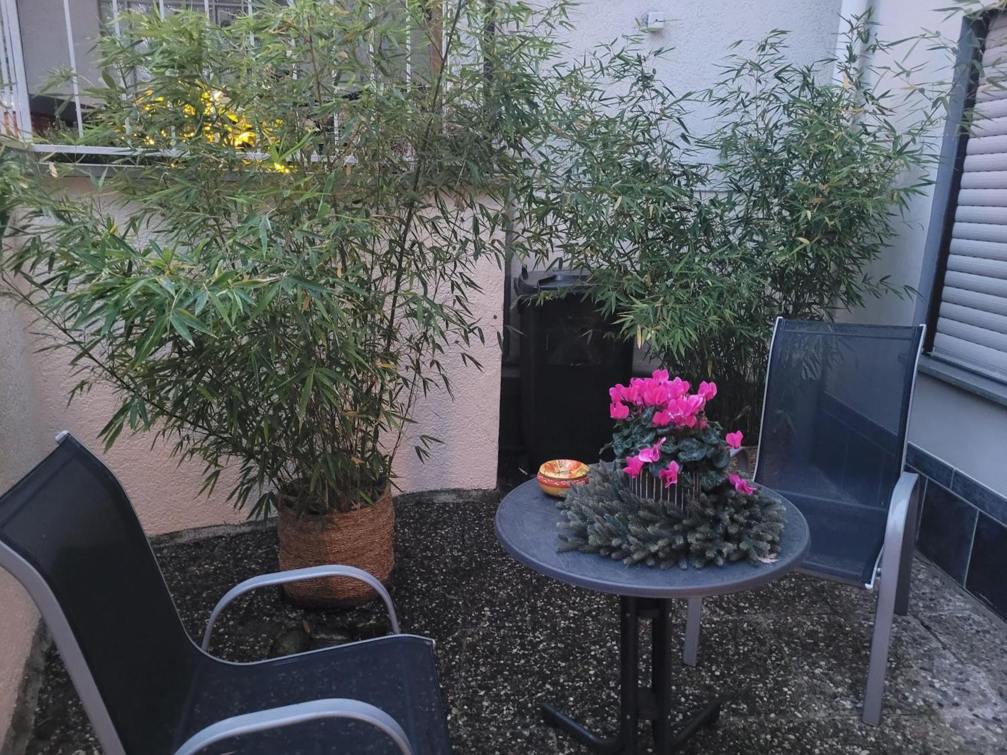Ferienwohnung Riesling Bobenheim am Berg Ngoại thất bức ảnh